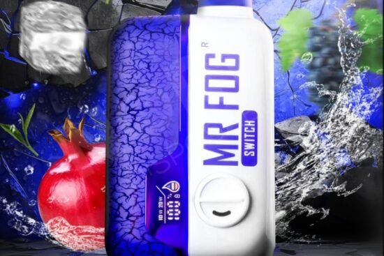 Mr Fog Switch SW15000