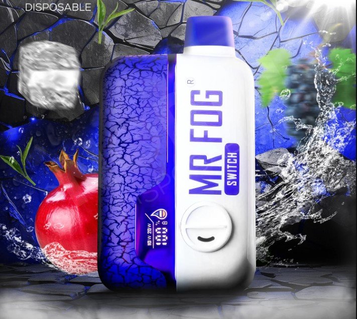 Mr Fog Switch SW15000